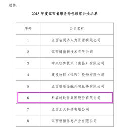 科睿特软件集团荣获2018年江西省服务外包领军企业称号