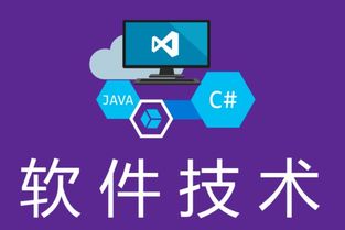 湖南中专软件技术毕业生升学指南 聚焦软件外包服务的对口单招学校